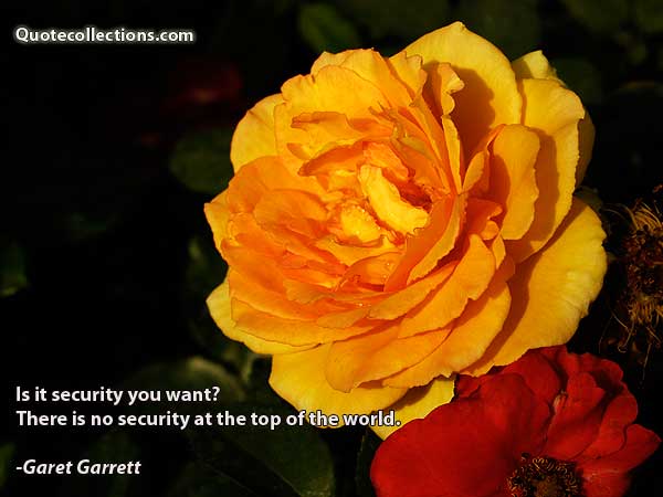 Garet Garrett Quotes5